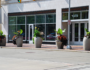 Plantings in front of Idea Center