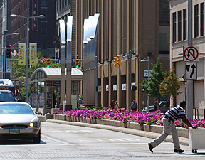 Plantings in median