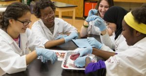A group of elementary school girls conduct a dissection lab 