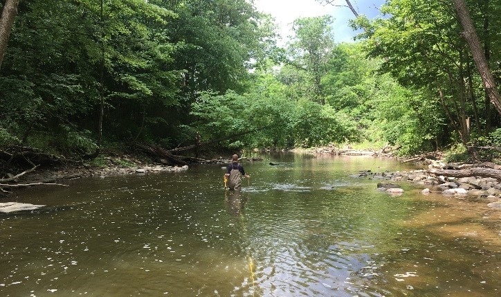 Image of John Brett wading up river with hose