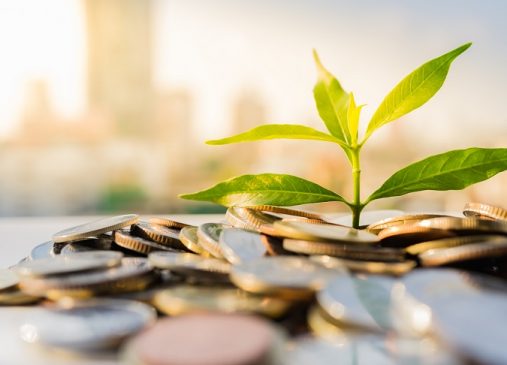 Plant on pile coins with cityscape background