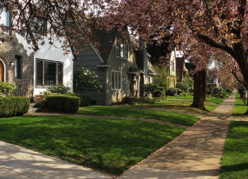 A tree lined residential street