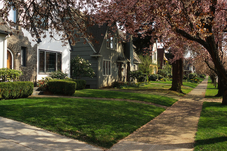 A tree lined residential street