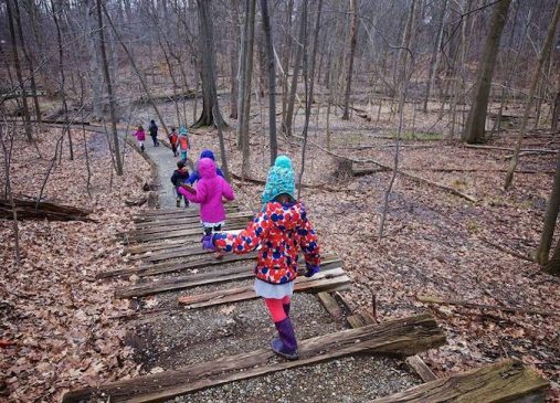 a group of children walking through the woods