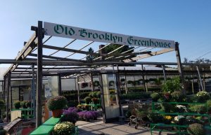 Photo of Old Brooklyn Greenhouse